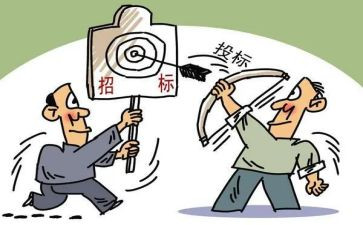 招标代理工作年终总结6篇