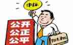 招标年度总结7篇