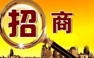 2024招商工作总结模板8篇