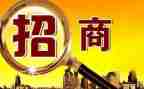 2024招商工作总结模板8篇