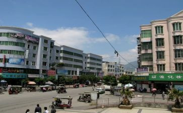 镇机关支部述职报告7篇