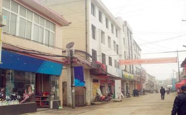 镇直部门述职报告模板6篇