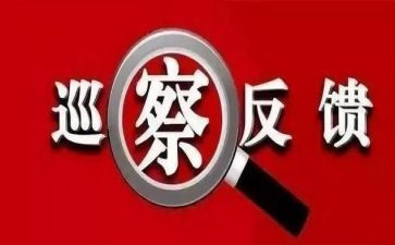 巡查组整改报告5篇