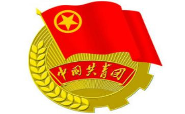镇团委述职报告8篇