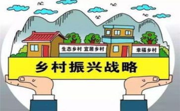 村乡村振兴调研报告5篇