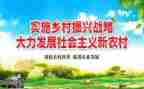 乡村振兴先进个人主要事迹6篇