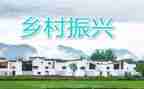 乡村实施乡村振兴调研报告8篇