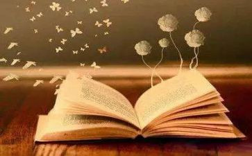 读哲学书的读后感最新7篇