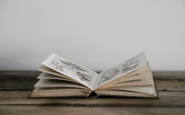 读哲学书的读后感7篇