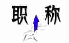 教师进职称工作总结报告7篇