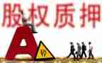 质押担保合同参考5篇