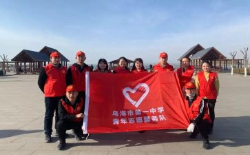 局志愿服务活动工作总结7篇