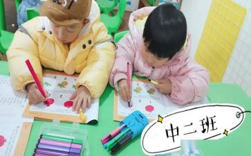 个人总结幼儿园中班8篇