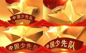 一中队工作总结精选7篇