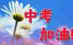 《我的中考》作文600字参考5篇