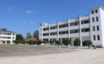 中心校校长述职述报告5篇