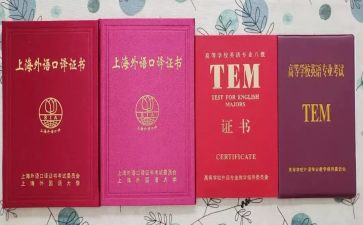 专八培训心得体会总结最新5篇
