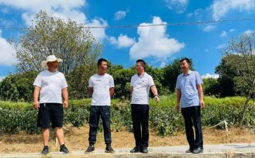 2024年驻村干部年度工作总结5篇
