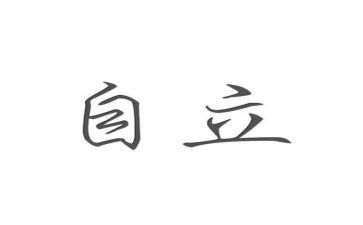 自立事迹材料5篇