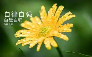 少年自立自强事迹材料6篇