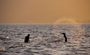 走进春天的读后感优秀6篇